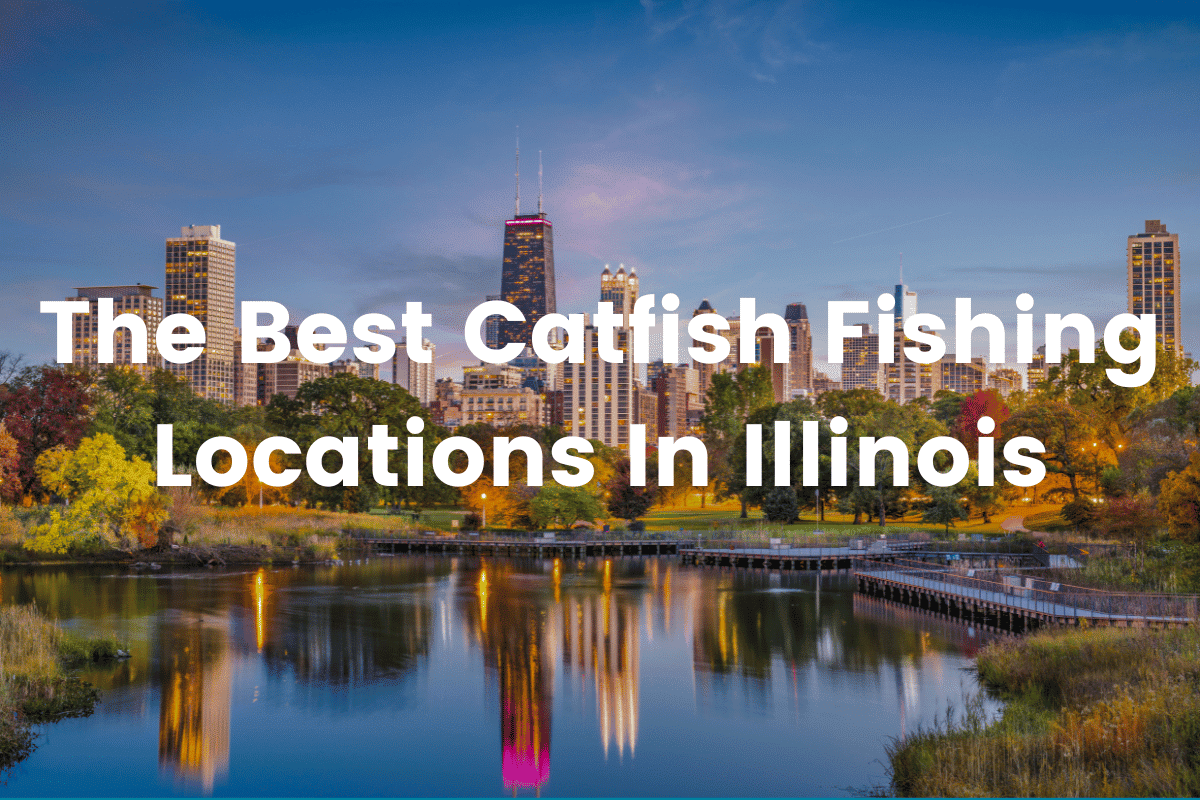 The Best Catfish Fishing Locations In Illinois FishingVista