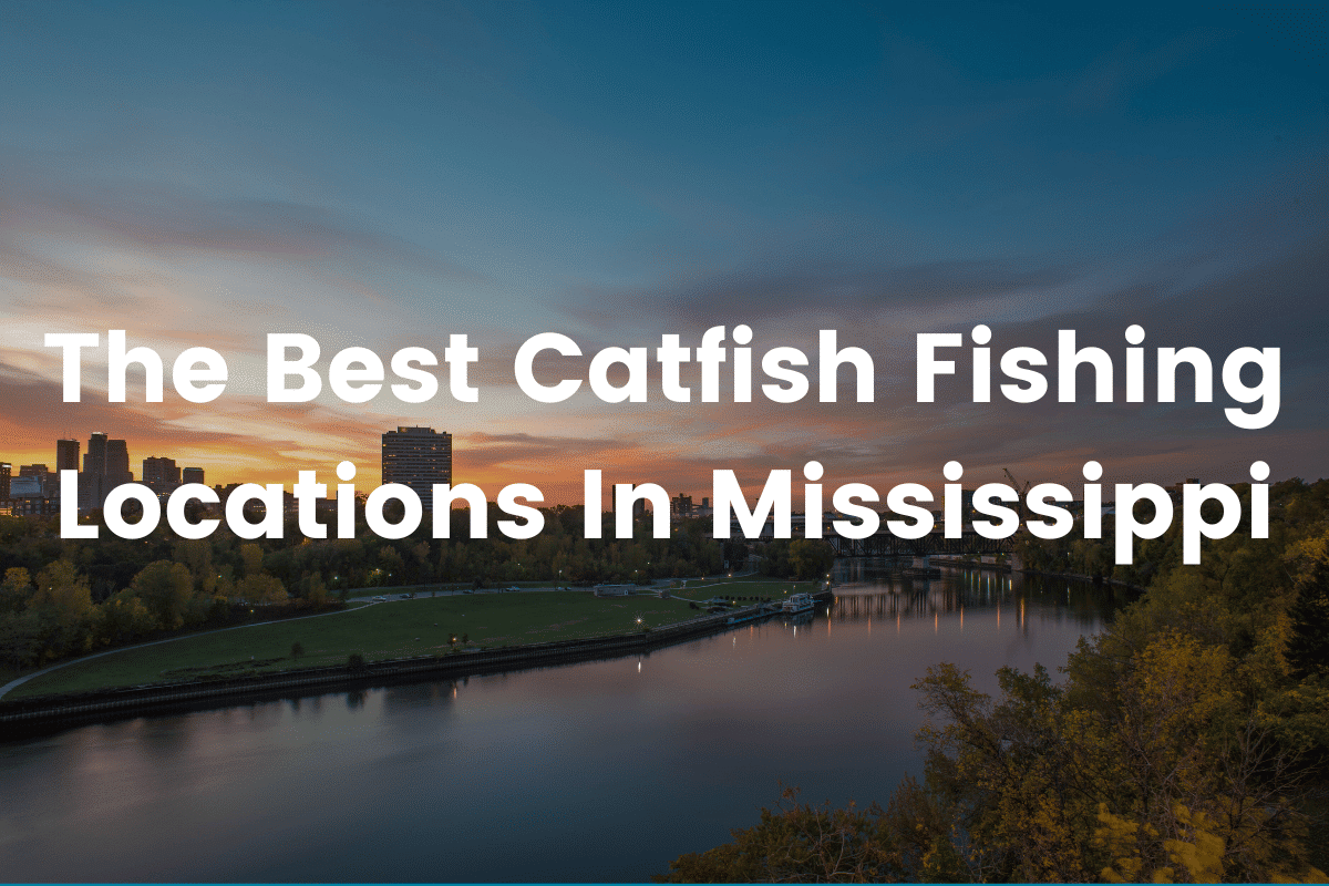 The Best Catfish Fishing Locations In Mississippi FishingVista