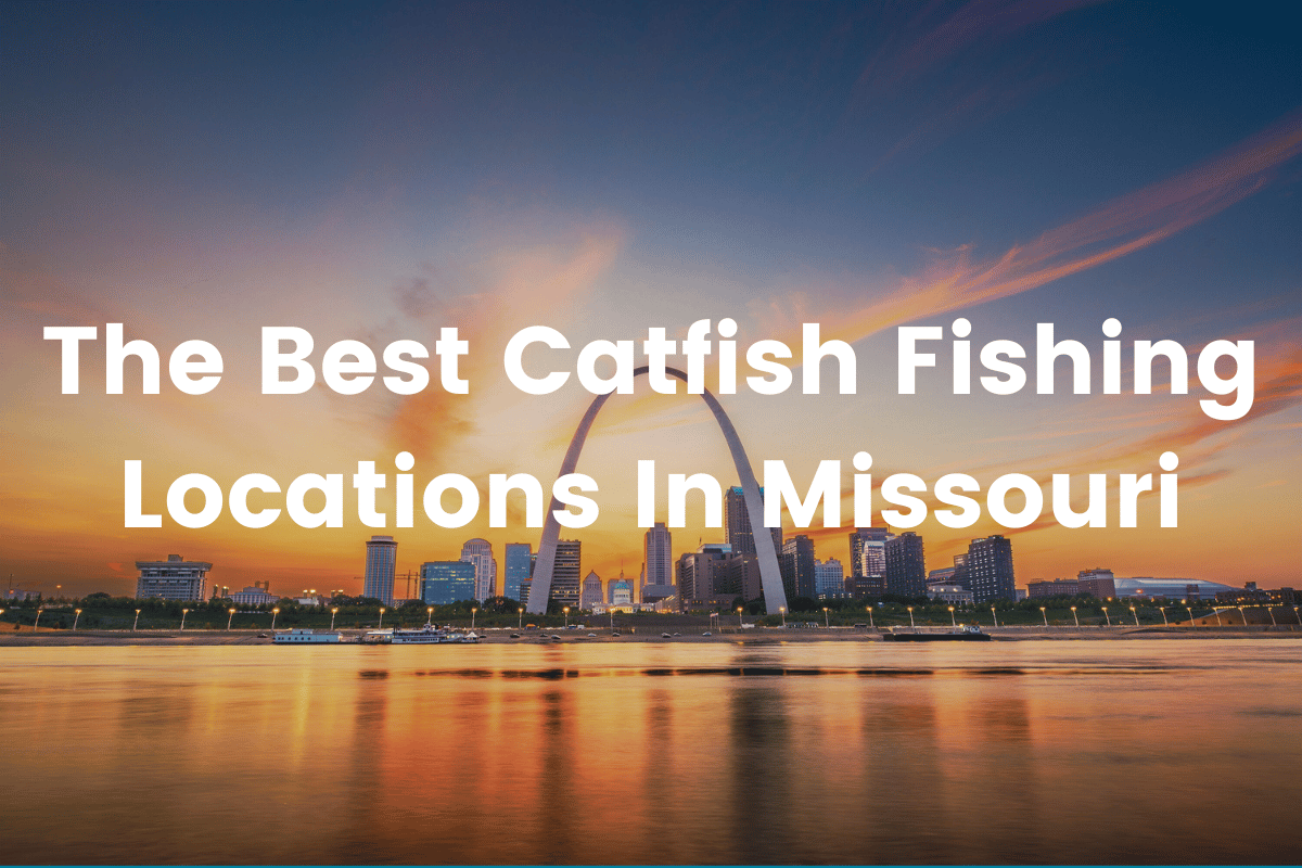 The Best Catfish Fishing Locations In Missouri FishingVista