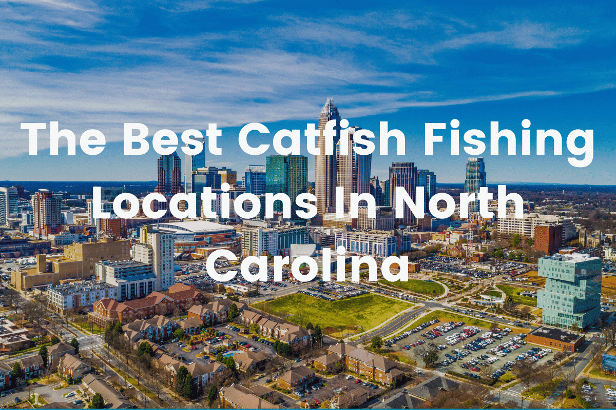 The Best Catfish Fishing Locations In North Carolina FishingVista