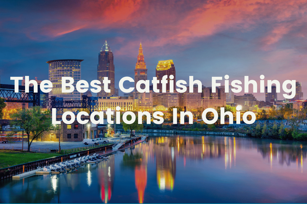 The Best Catfish Fishing Locations In Ohio FishingVista