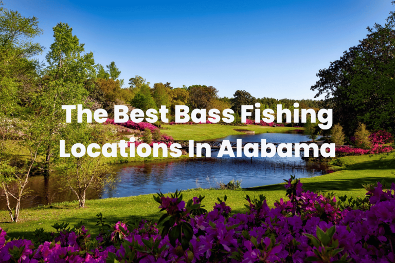 The Best Bass Fishing Locations In Alabama