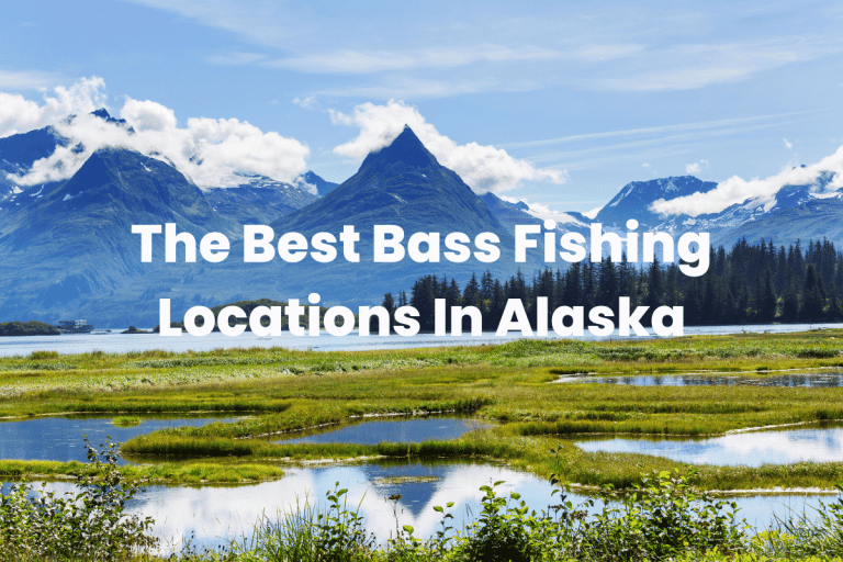 The Best Bass Fishing Locations In Alaska
