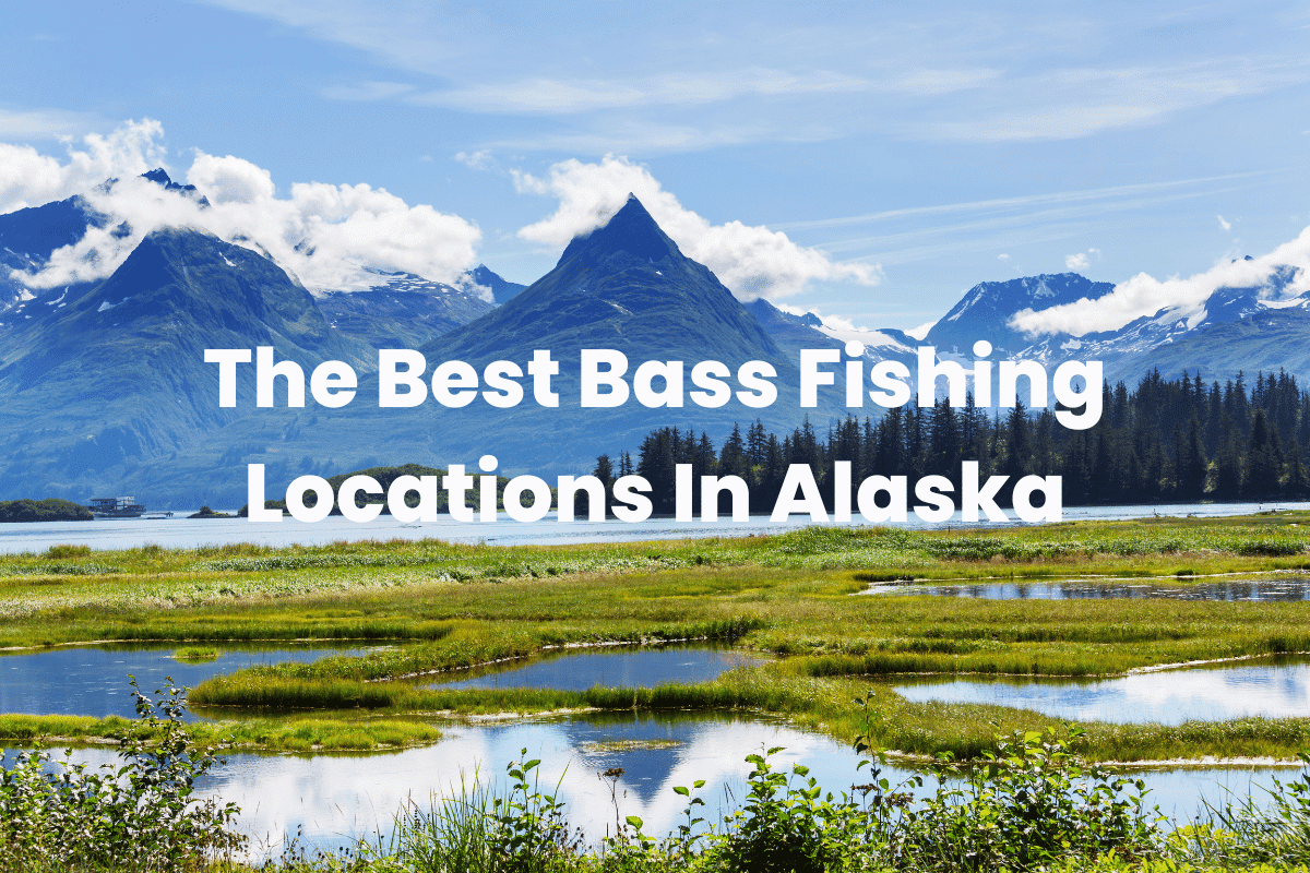 The Best Bass Fishing Locations In Alaska FishingVista