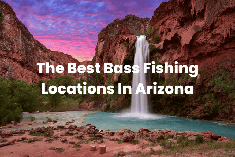 The Best Bass Fishing Locations In Arizona