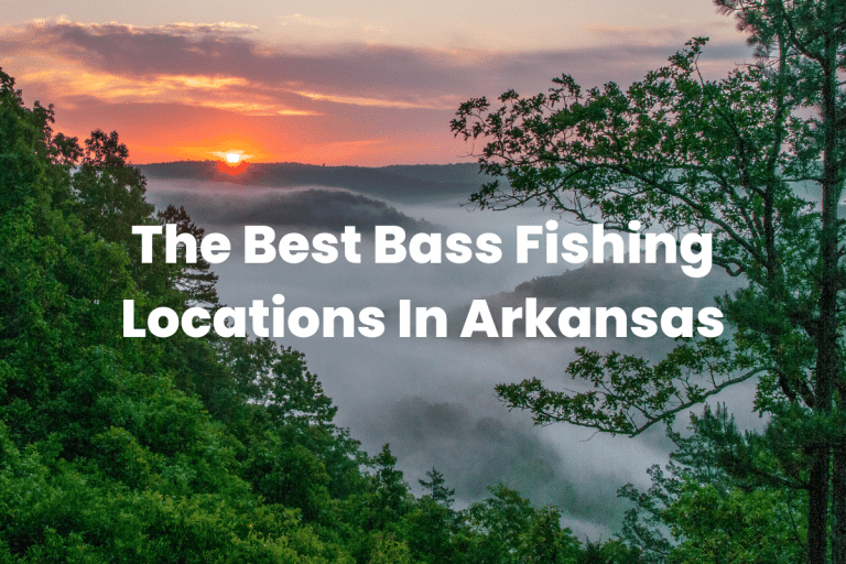 The Best Bass Fishing Locations In Arkansas