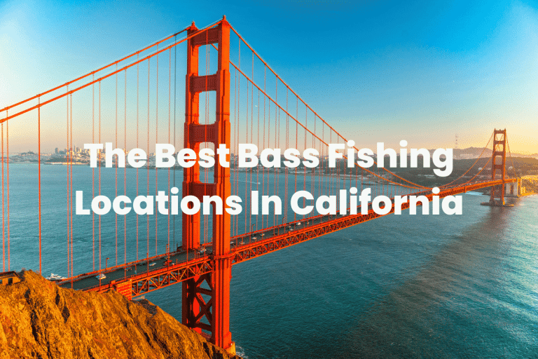 The Best Bass Fishing Locations In California