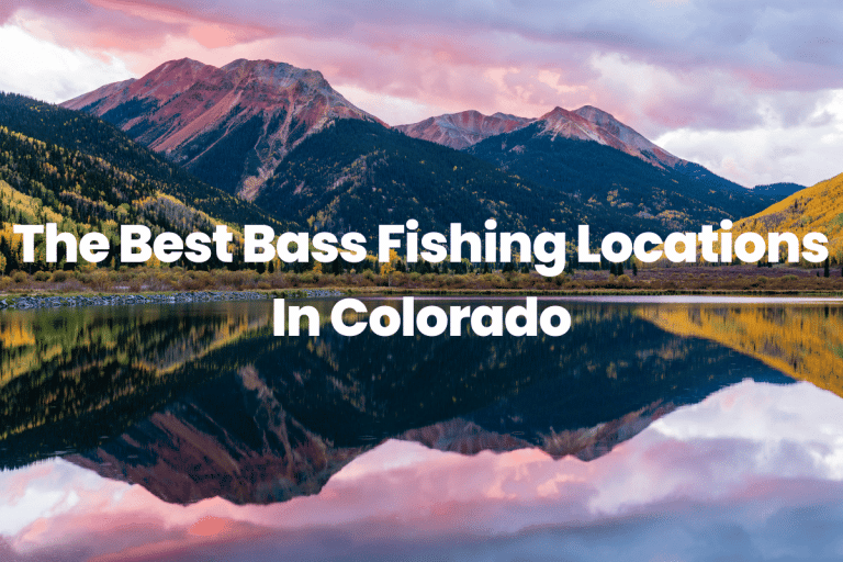 The Best Bass Fishing Locations In Colorado