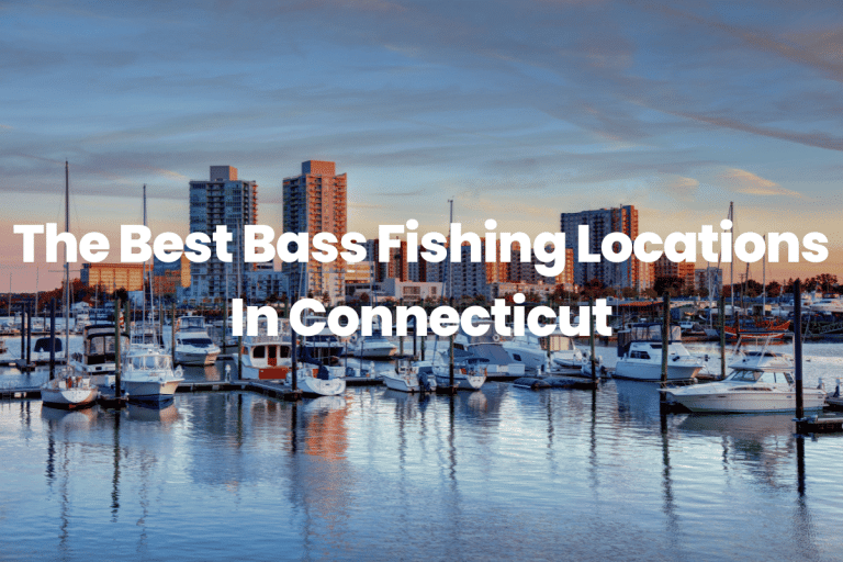 The Best Bass Fishing Locations In Connecticut