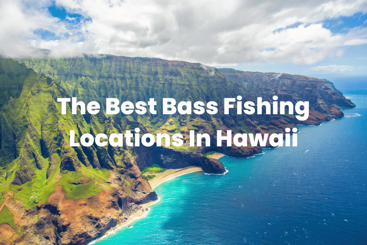 The Best Bass Fishing Locations In Hawaii FishingVista