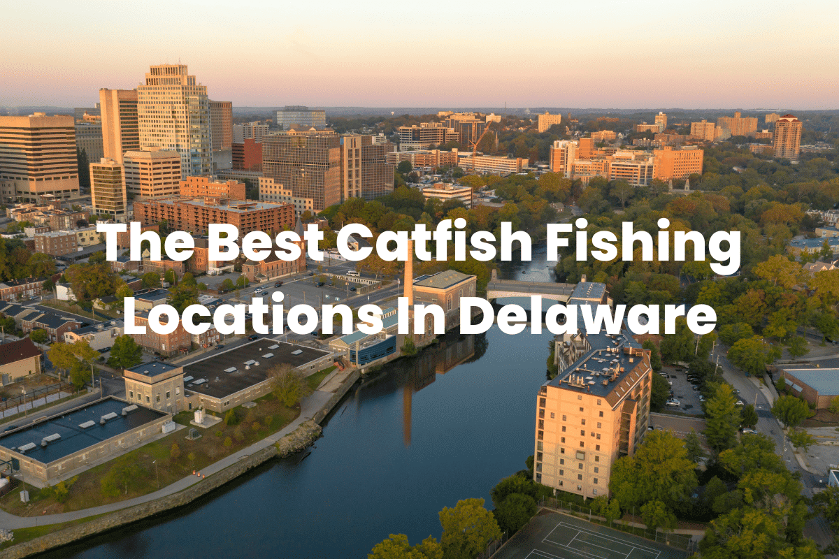 The Best Catfish Fishing Locations In Delaware FishingVista