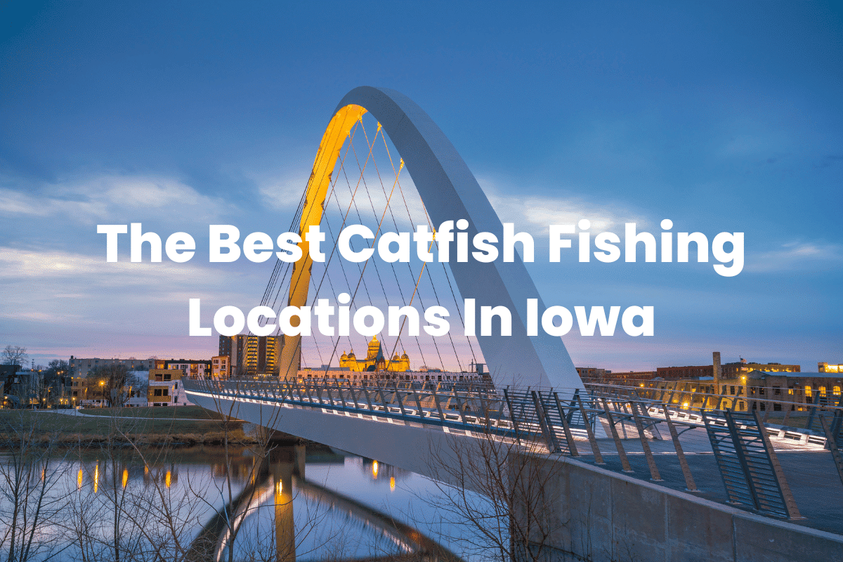The Best Catfish Fishing Locations In Iowa FishingVista