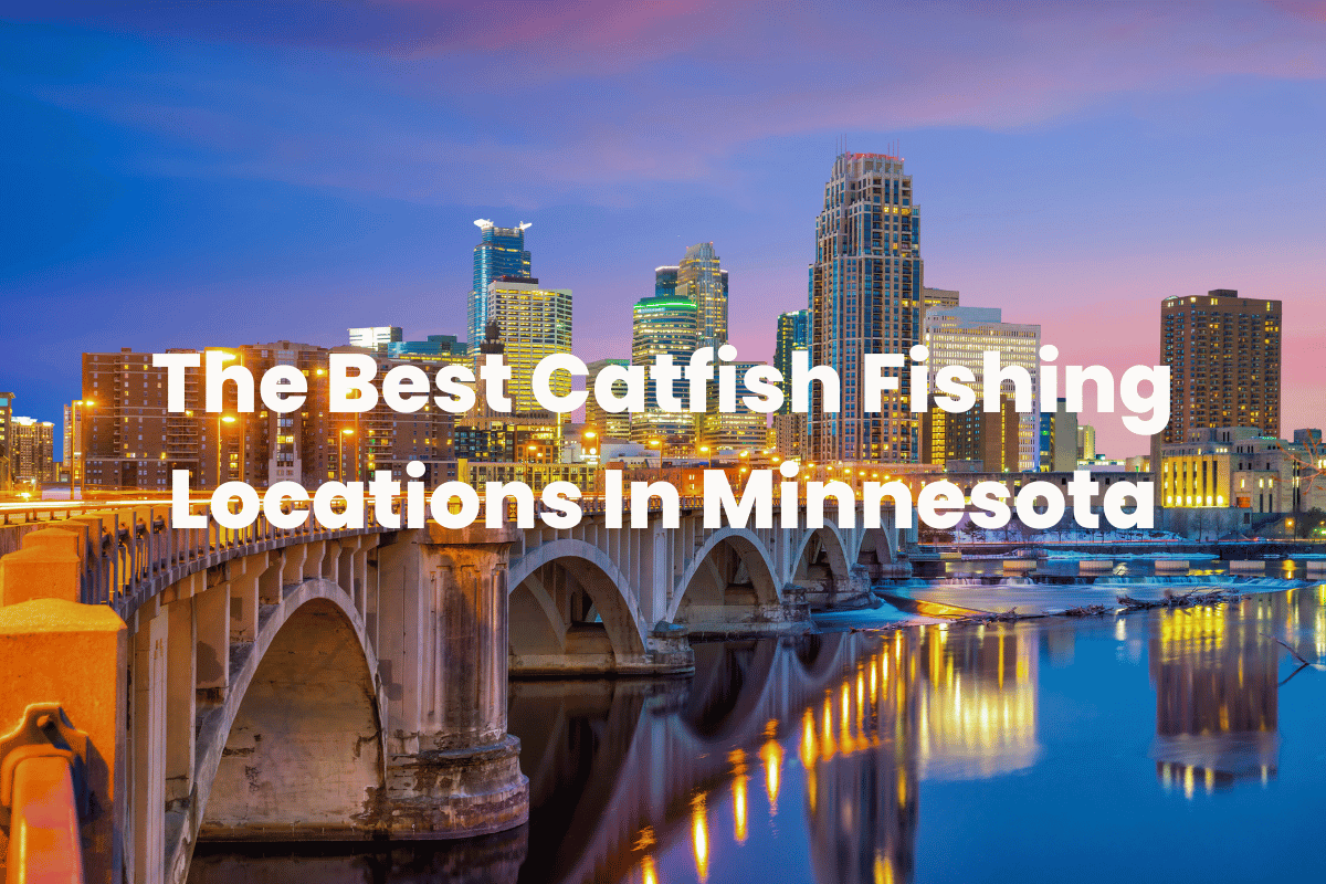 The Best Catfish Fishing Locations In Minnesota FishingVista