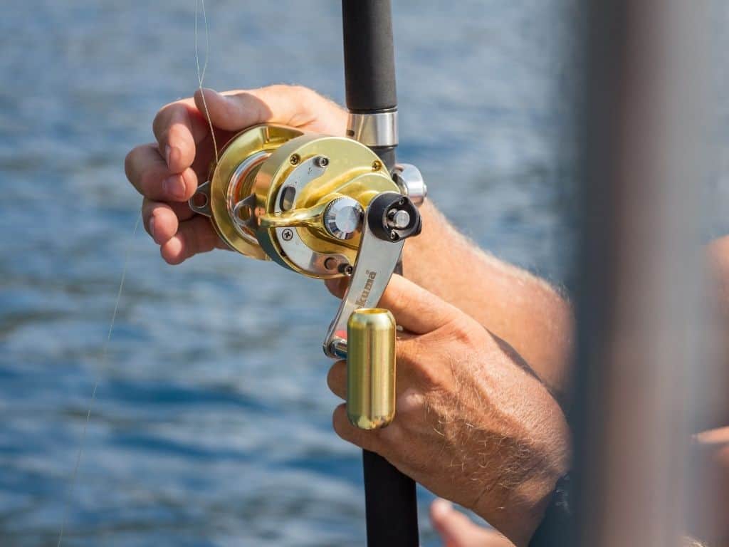 How To Catch White Bass In Rivers? (5 Effective Steps) - FishingVista