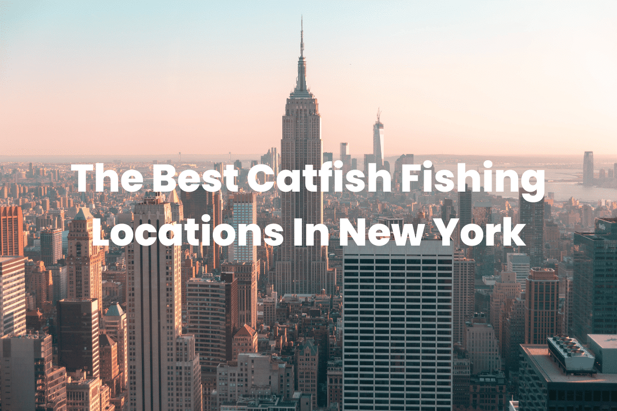 The Best Catfish Fishing Locations In New York FishingVista