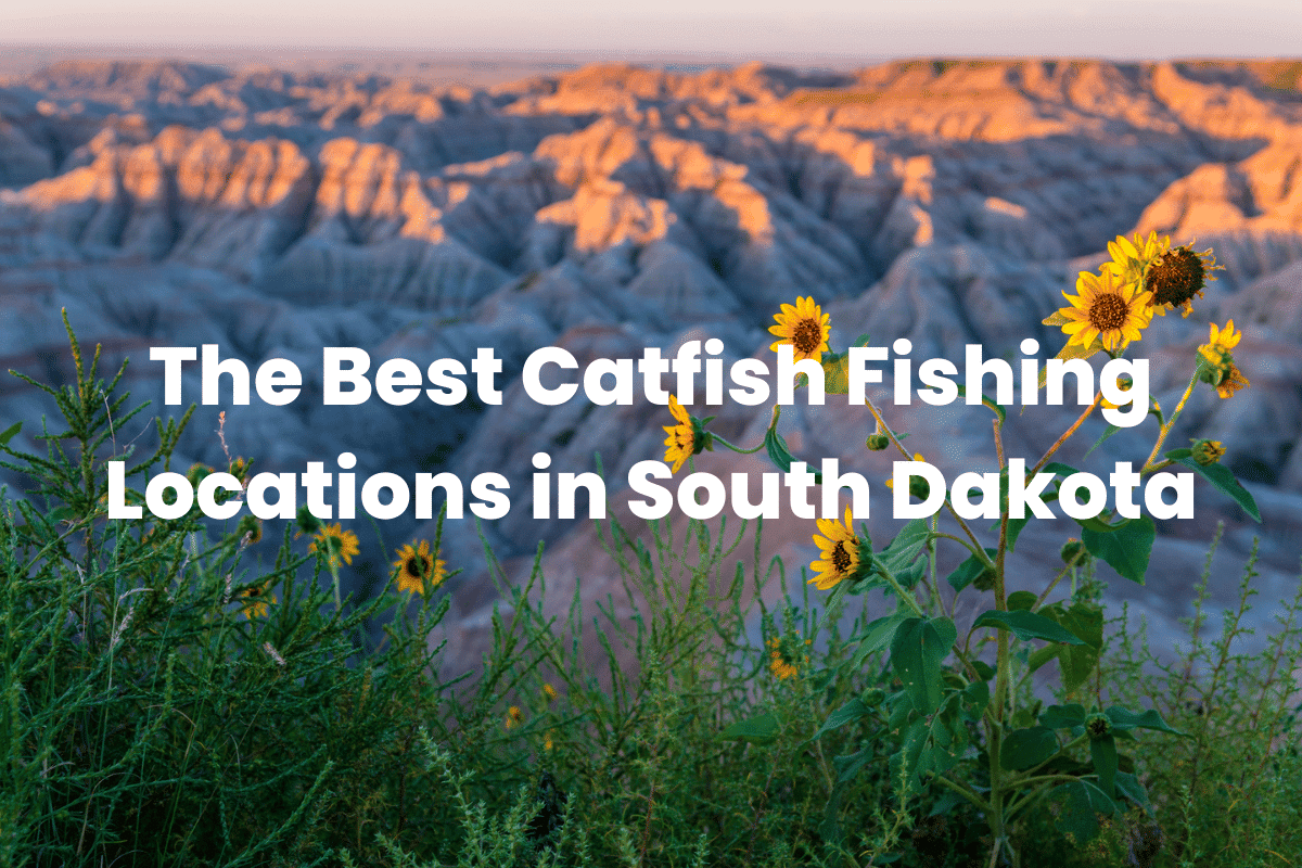 The Best Catfish Fishing Locations In South Dakota FishingVista